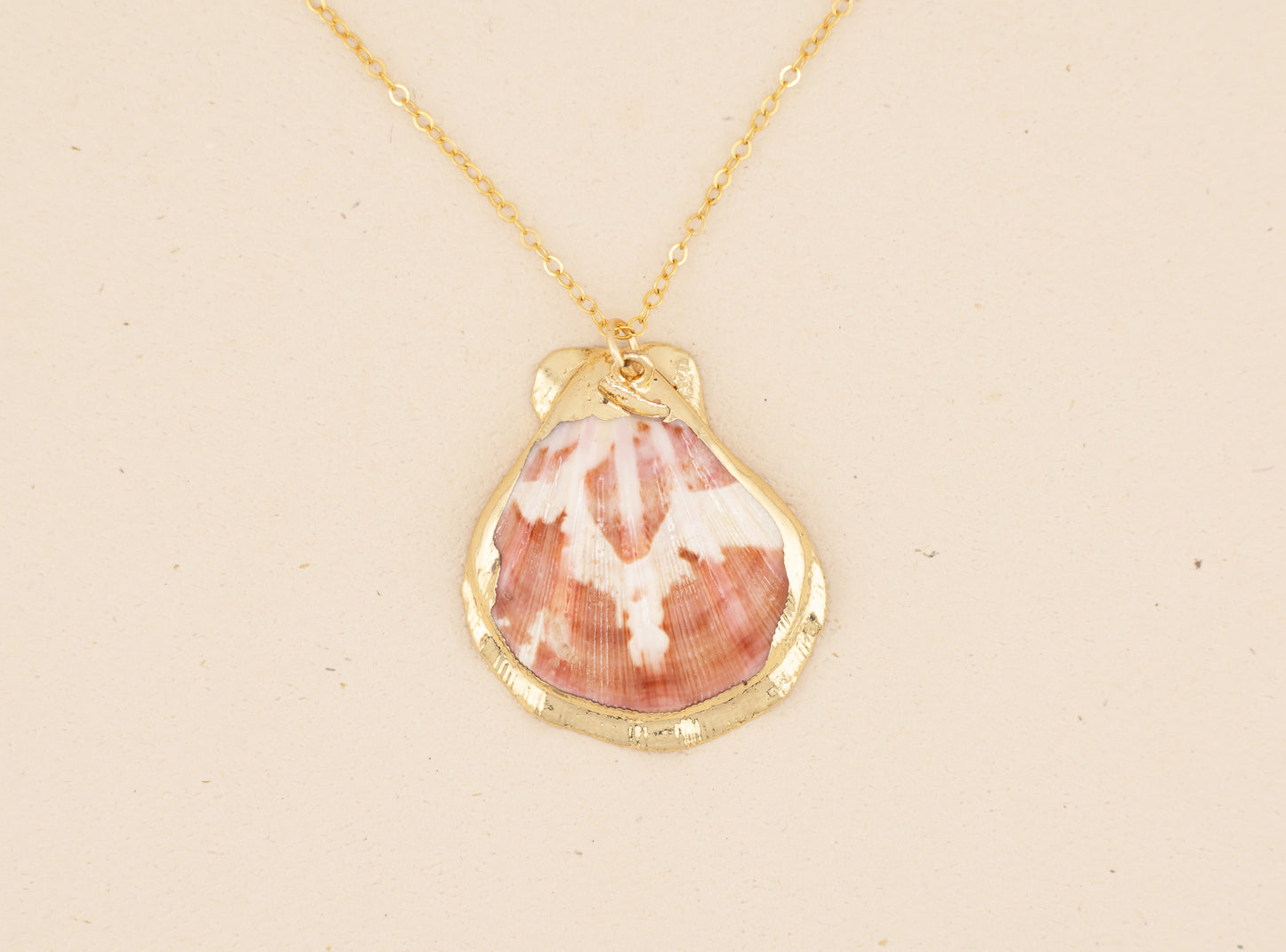 Natural Scallop Shell Necklace