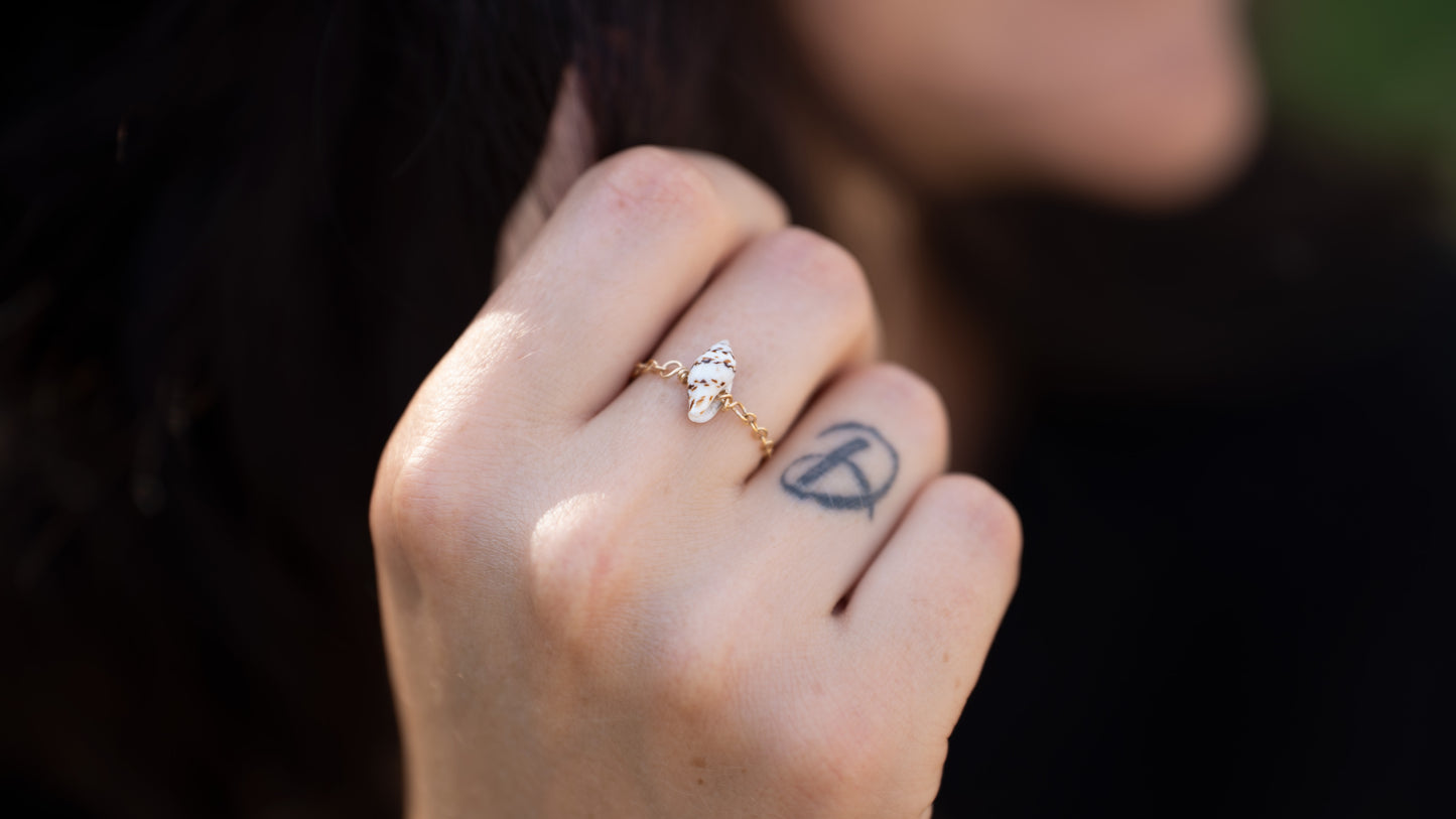 Tulip Shell Chain Ring