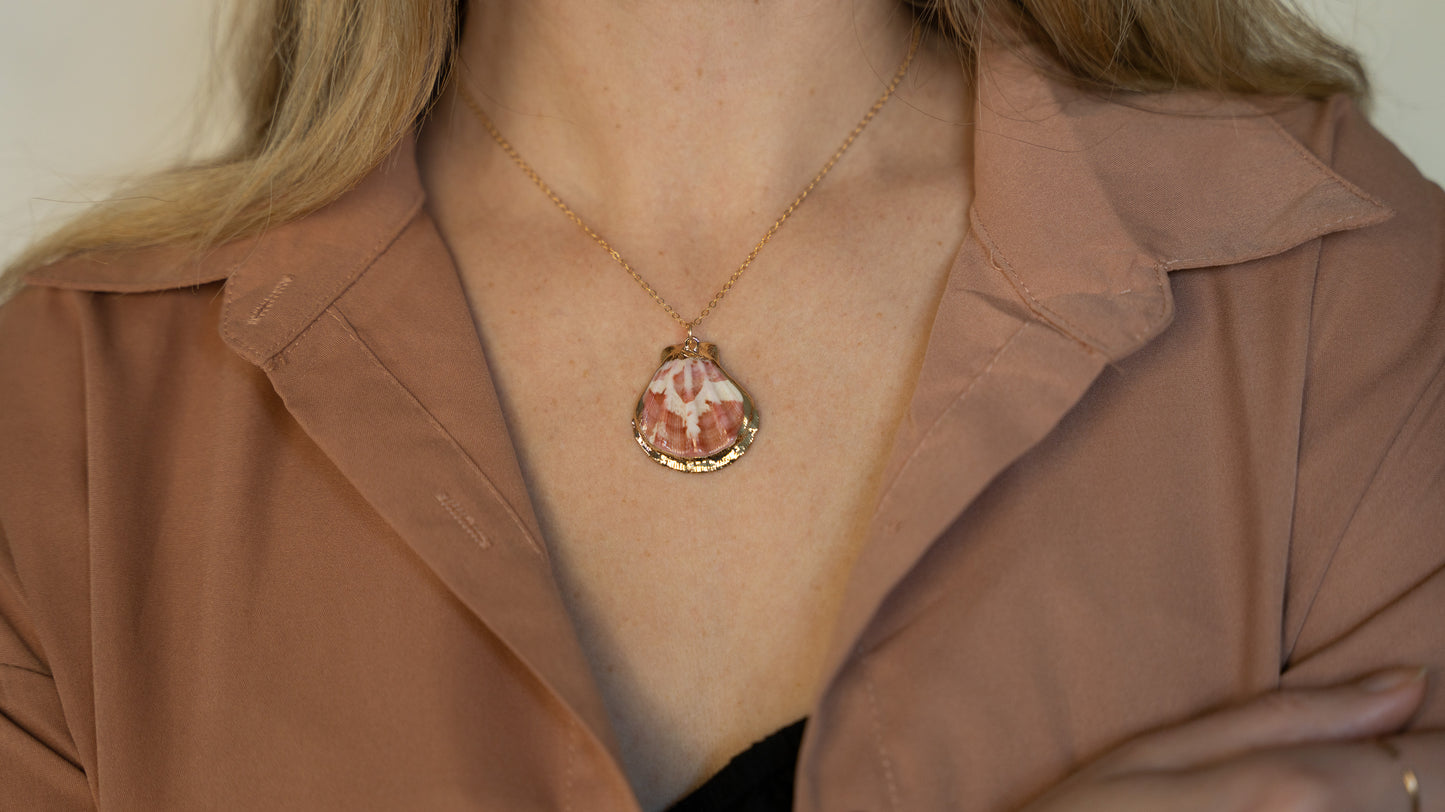 Natural Scallop Shell Necklace