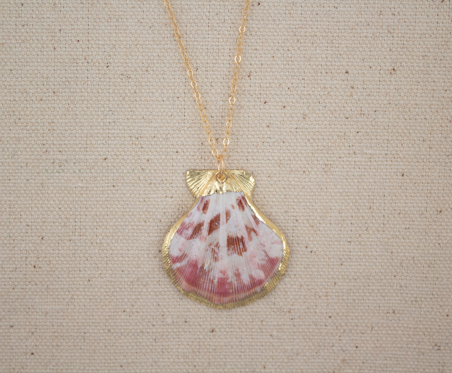 Natural Scallop Shell Necklace