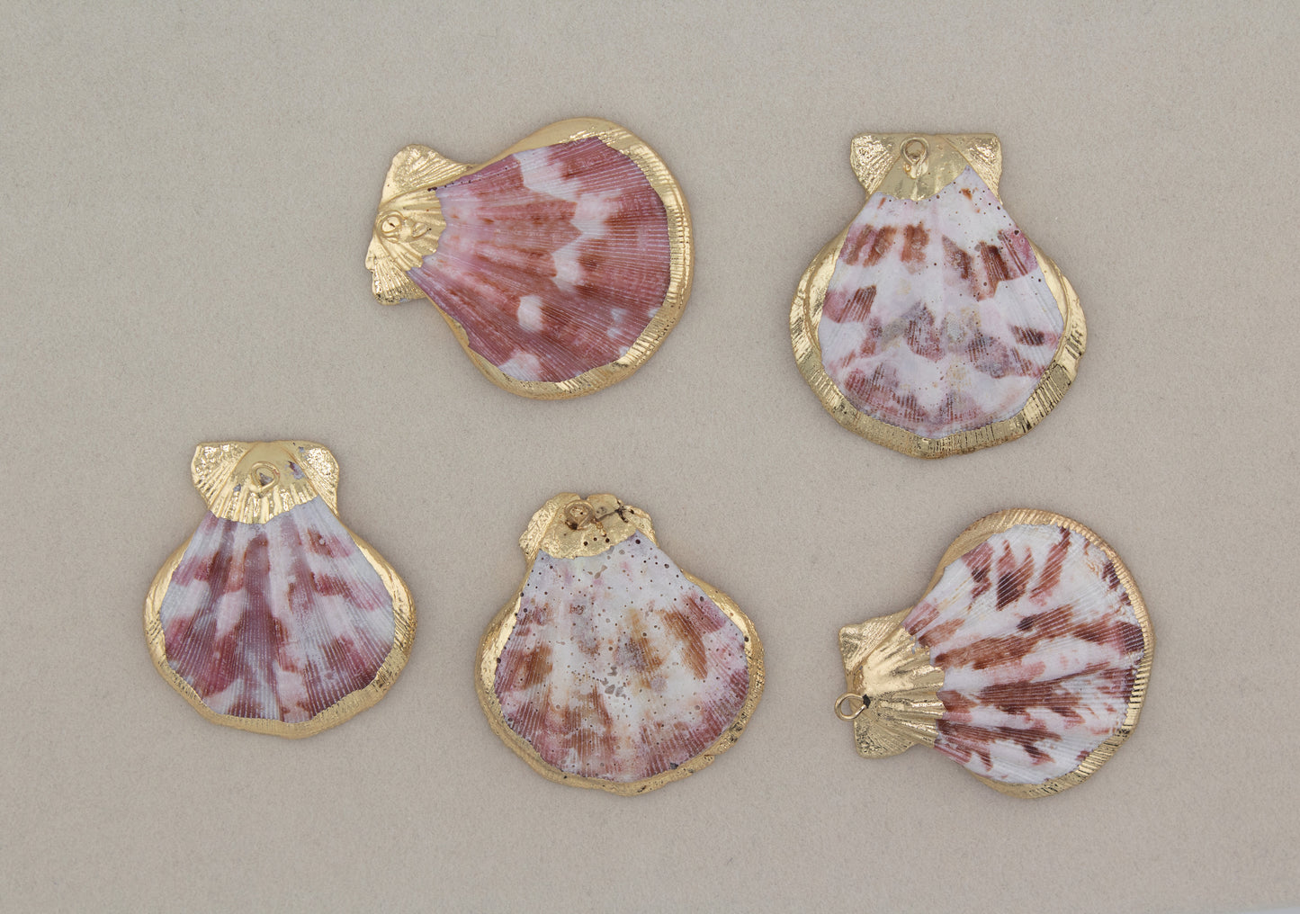 Natural Scallop Shell Necklace