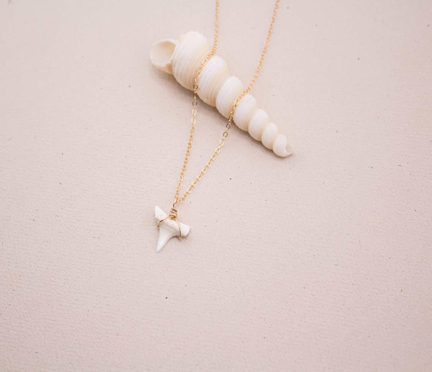 SHARK TOOTH NECKLACE - WHITE