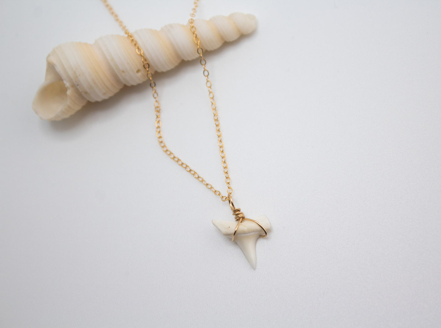 SHARK TOOTH NECKLACE - WHITE