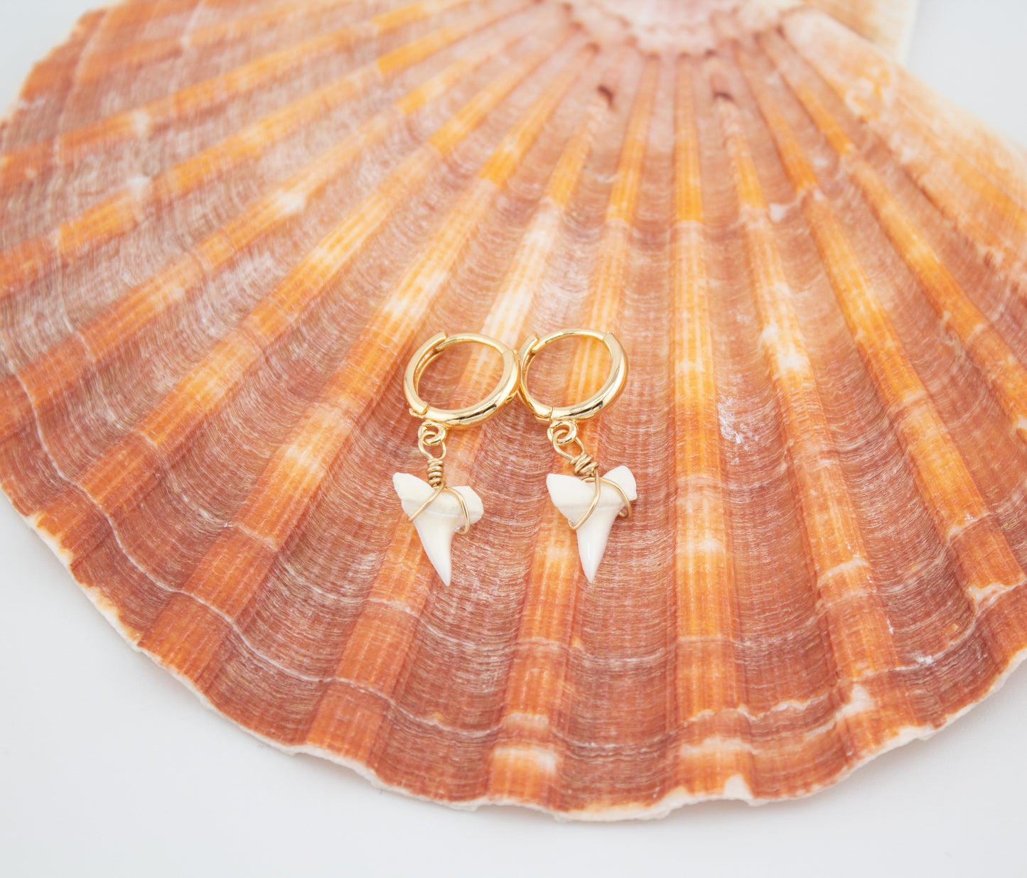 Real Shark Tooth Gold huggie earrings