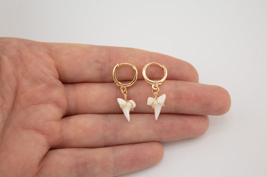 Real Shark Tooth Gold huggie earrings