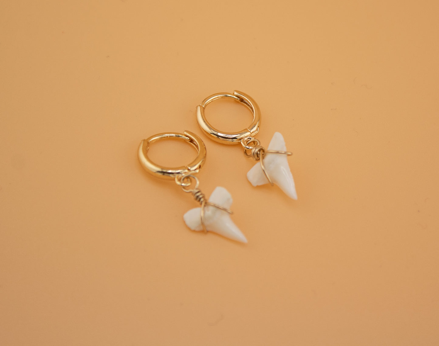 Real Shark Tooth Gold huggie earrings