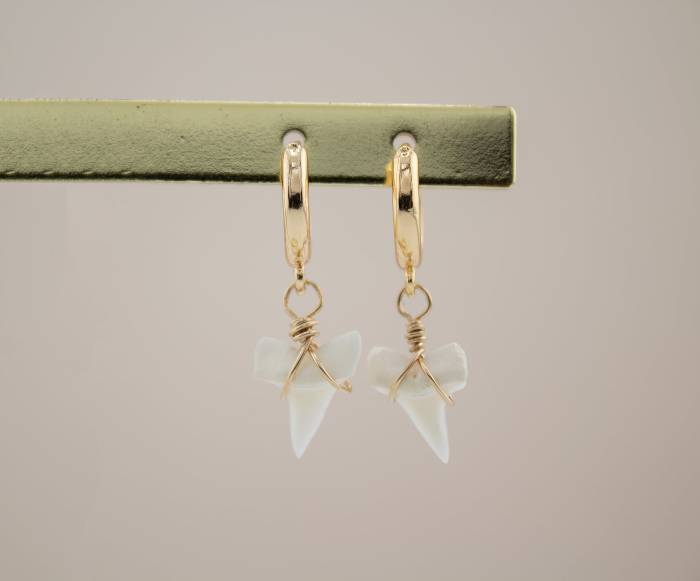 Real Shark Tooth Gold huggie earrings