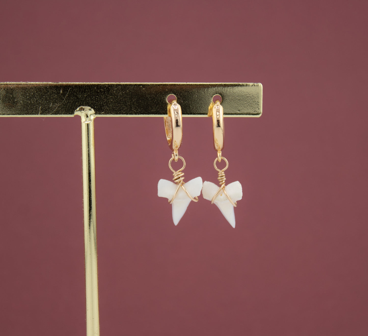 Real Shark Tooth Gold huggie earrings