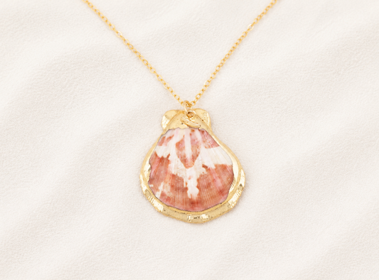 Natural Scallop Shell Necklace