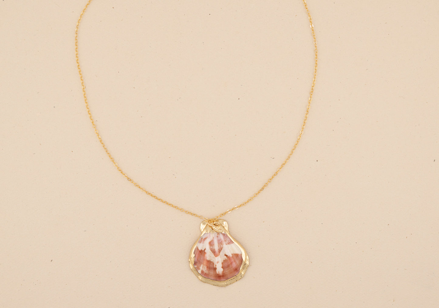 Natural Scallop Shell Necklace