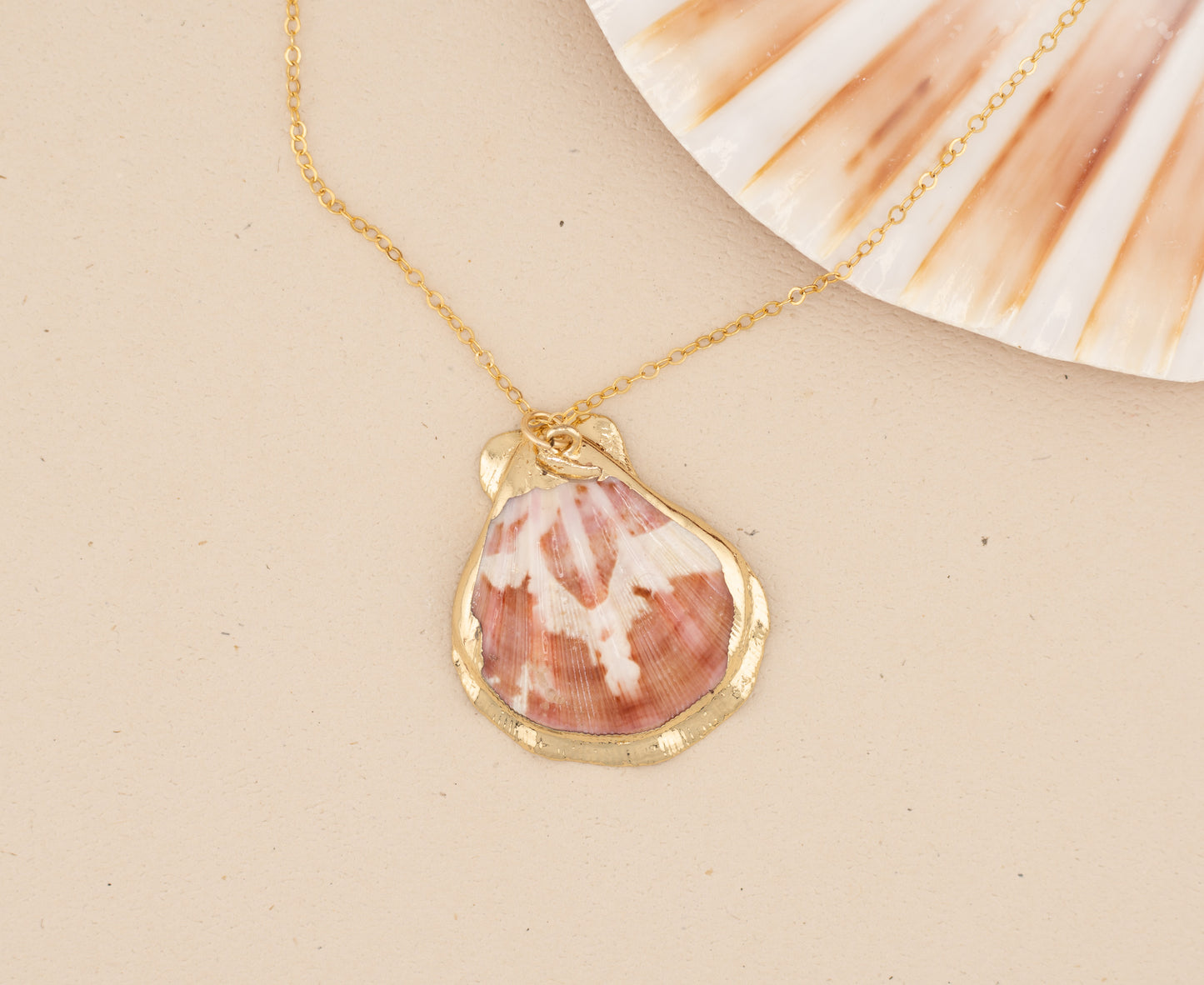 Natural Scallop Shell Necklace