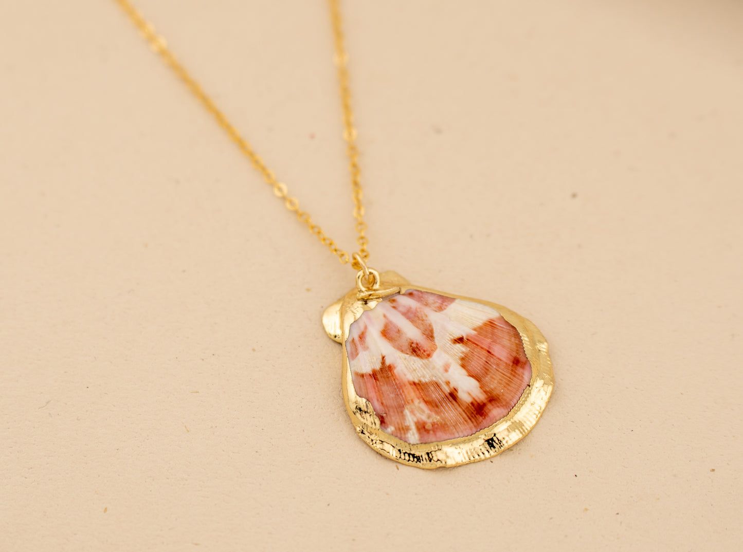 Natural Scallop Shell Necklace