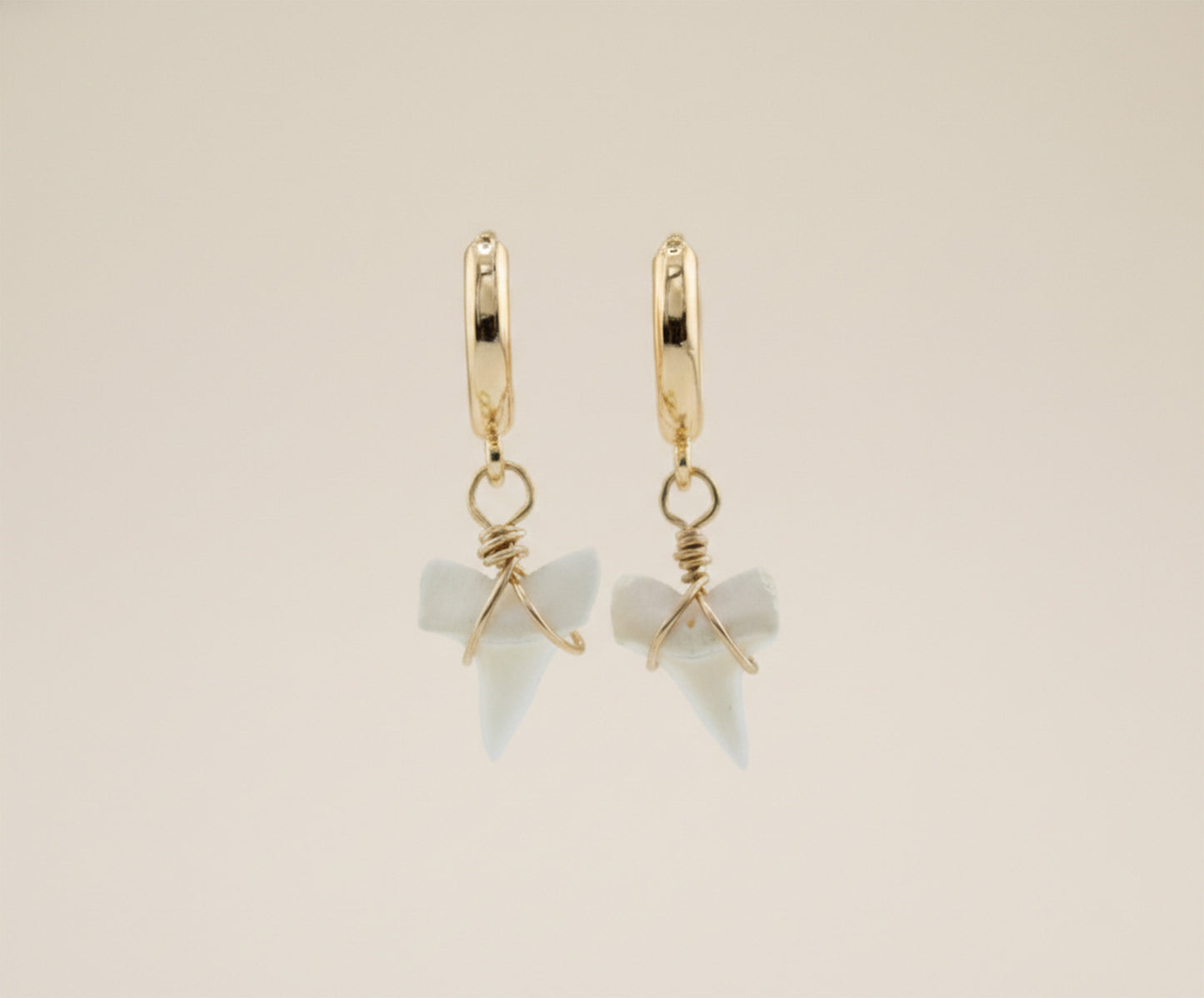 Real Shark Tooth Gold huggie earrings