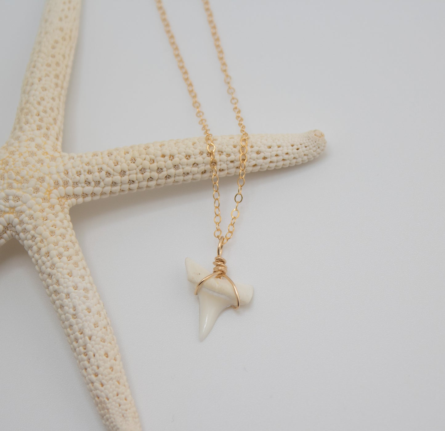 SHARK TOOTH NECKLACE - WHITE